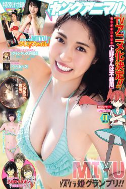璀璨人生圖片