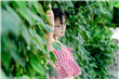 新閨蜜時(shí)代劇情