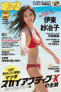 鐵血武工隊(duì)傳奇演員表